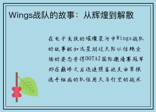 Wings战队的故事：从辉煌到解散