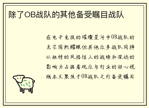 除了OB战队的其他备受瞩目战队