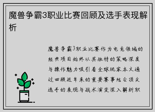 魔兽争霸3职业比赛回顾及选手表现解析
