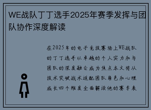 WE战队丁丁选手2025年赛季发挥与团队协作深度解读